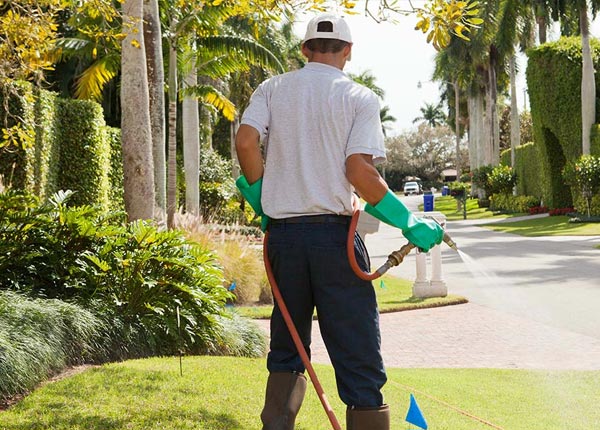 About Magnolia OH Pest Control Pros